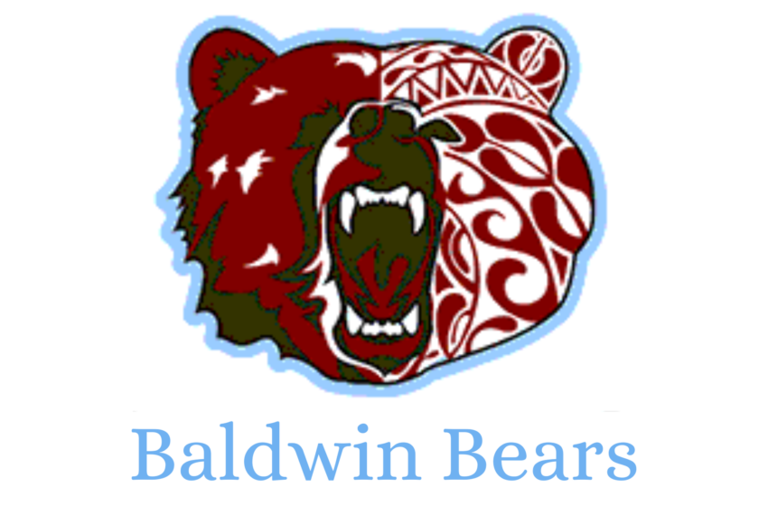  Baldwin Bears Football Team Page